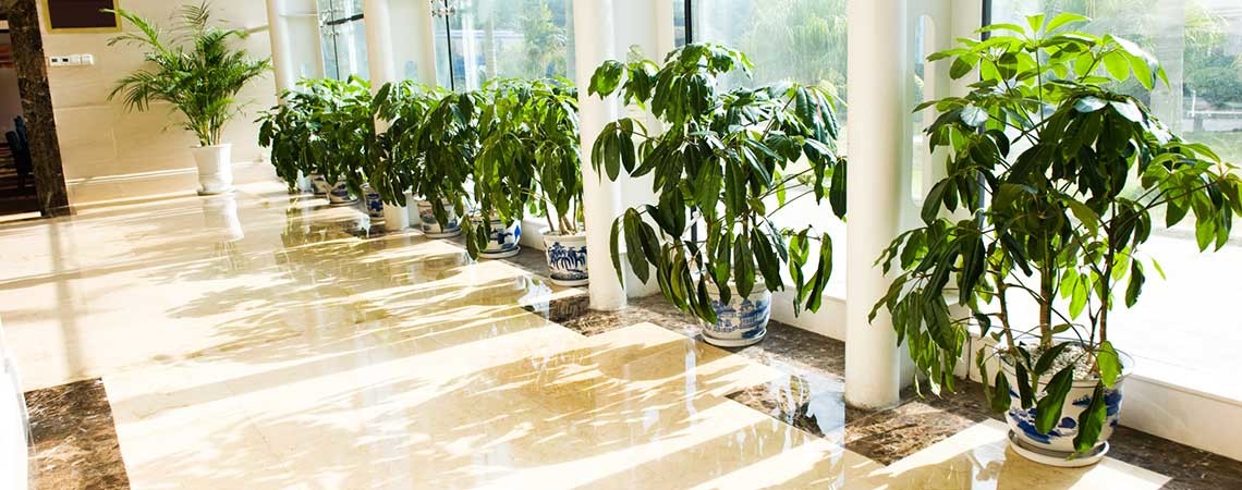 Commercial Office Cleaning and Janitorial Service